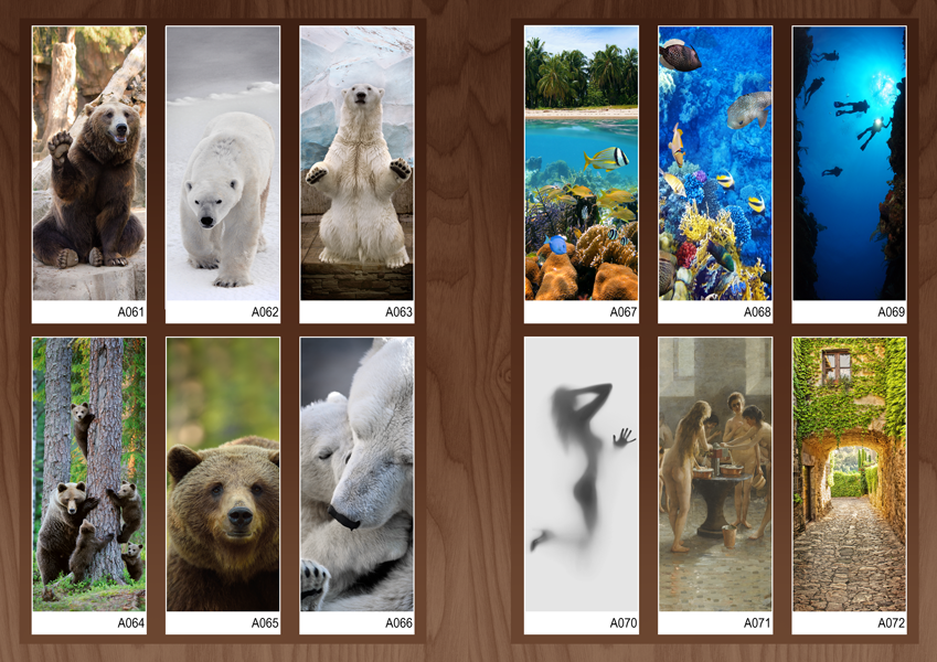 Дверь для бани стеклянная Doorwood с фотопечатью