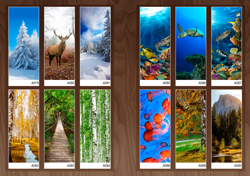 Дверь для бани стеклянная Doorwood с фотопечатью
