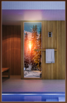 Дверь для бани стеклянная Doorwood с фотопечатью