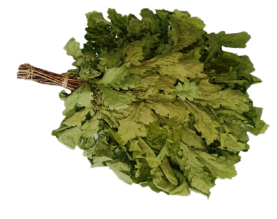 Веник для бани дубовый